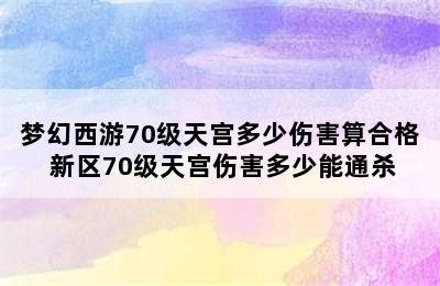 梦幻西游70级天宫多少伤害算合格 新区70级天宫伤害多少能通杀